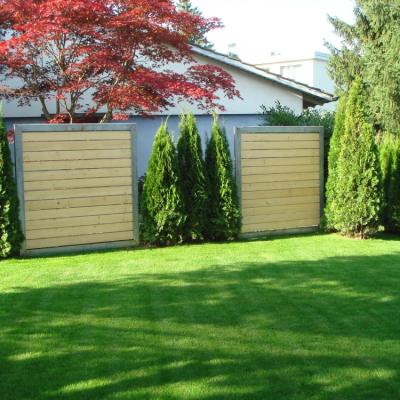 1.2 Sichtschutz Fichte B2