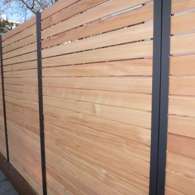 4.2 Sichtschutz Horizontal Larche B2