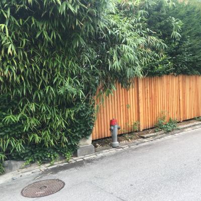 5.1 Sichtschutz Vertikal Larche Gehobelt